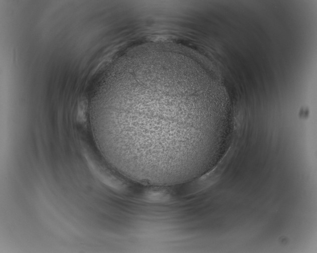 X0000113630175200910021901
