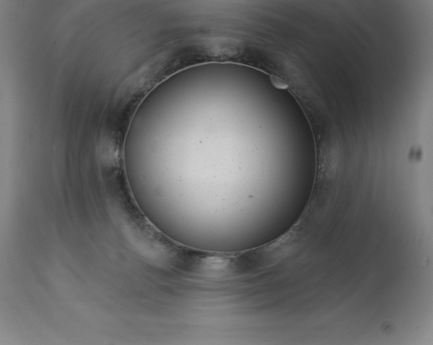 X0000113630176200910021901