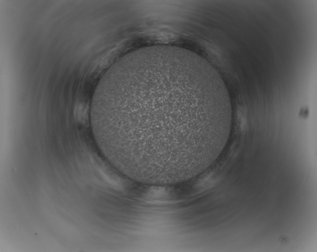 X0000113630177200910021901