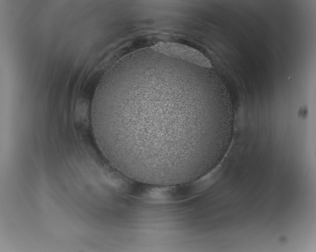 X0000113630178200910021901