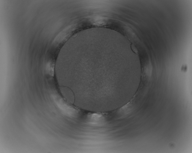 X0000113630180200910021901