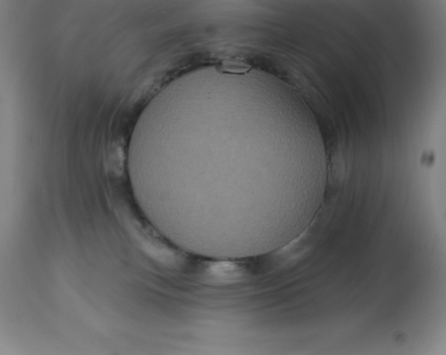 X0000113630183200910021901