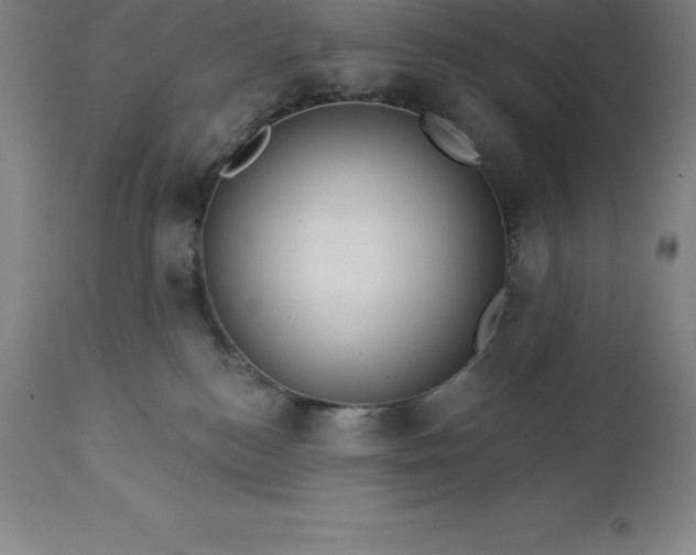 X0000113630184200910021901