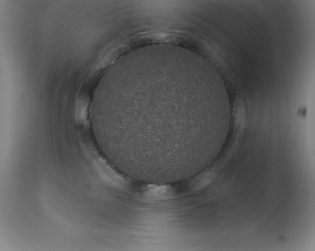 X0000113630185200910021901