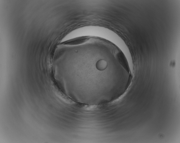 X0000113630186200910021901