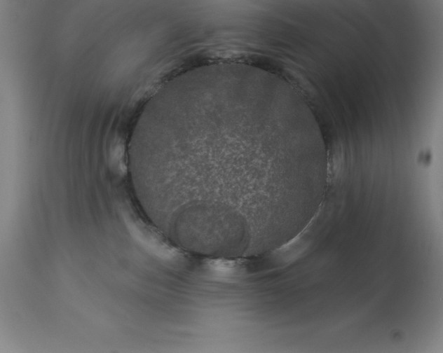 X0000113630187200910021901