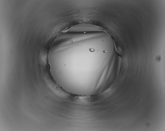 X0000113630188200910021901