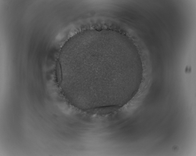 X0000113630192200910021901