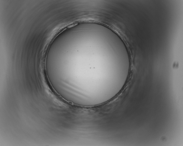 X0000113630193200910021900