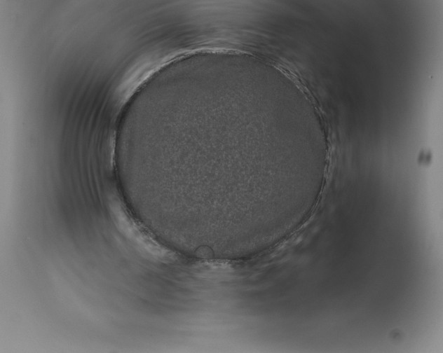 X0000113630194200910021900