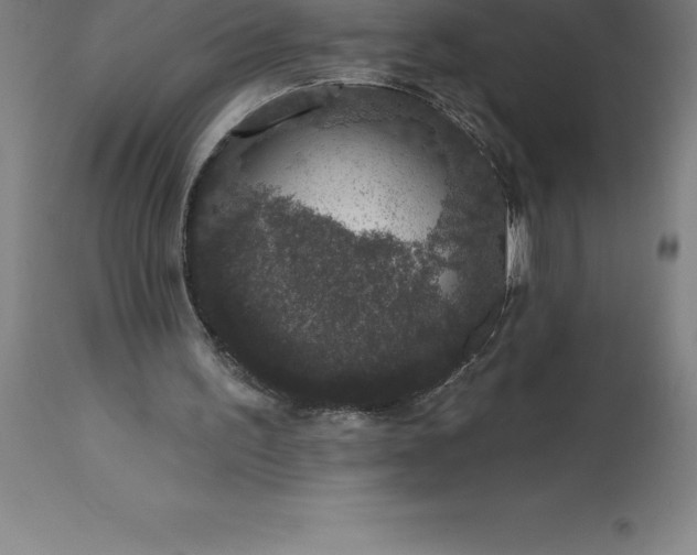 X0000113630195200910021900