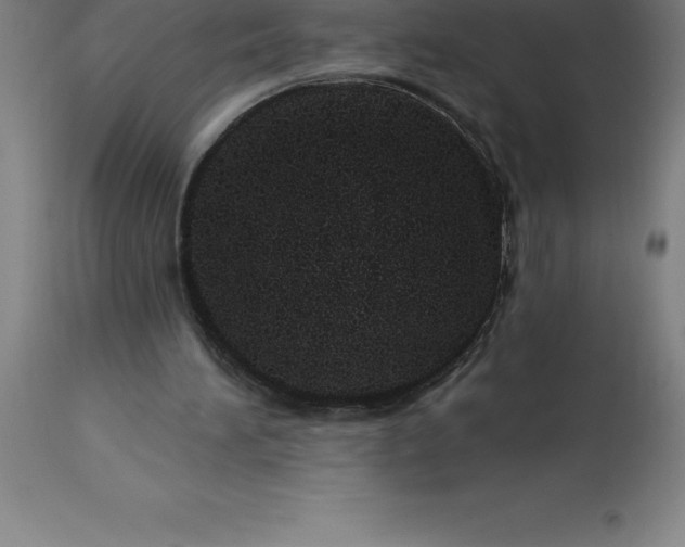 X0000113630196200910021900