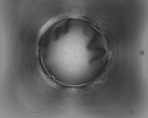 X0000113630197200910021900