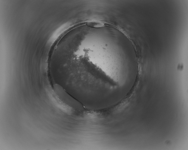 X0000113630199200910021900