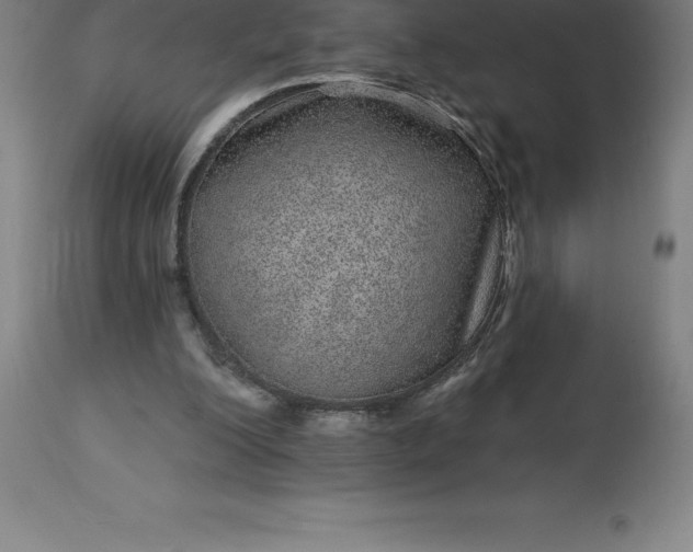 X0000113630200200910021900