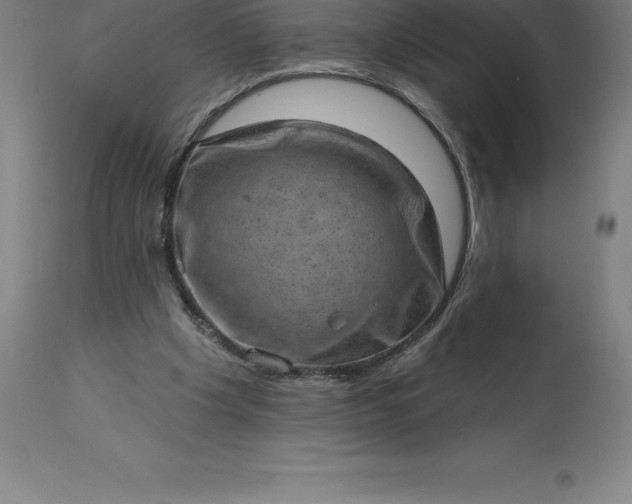 X0000113630201200910021900