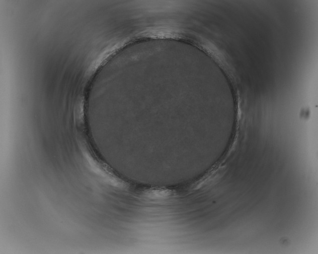 X0000113630202200910021900