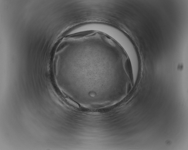 X0000113630203200910021900