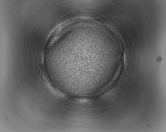 X0000113630204200910021900