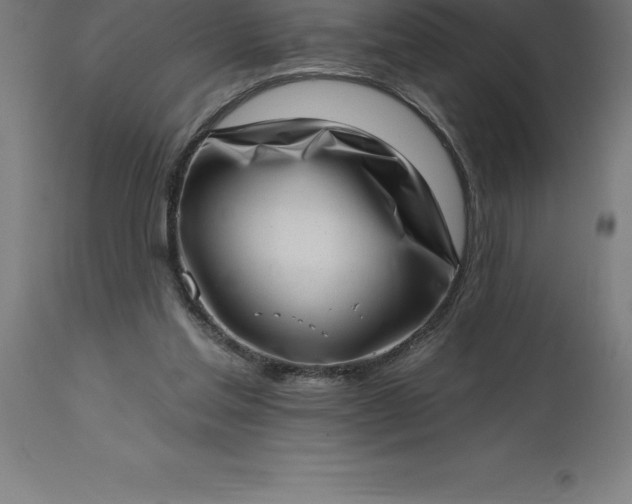 X0000113630205200910021900