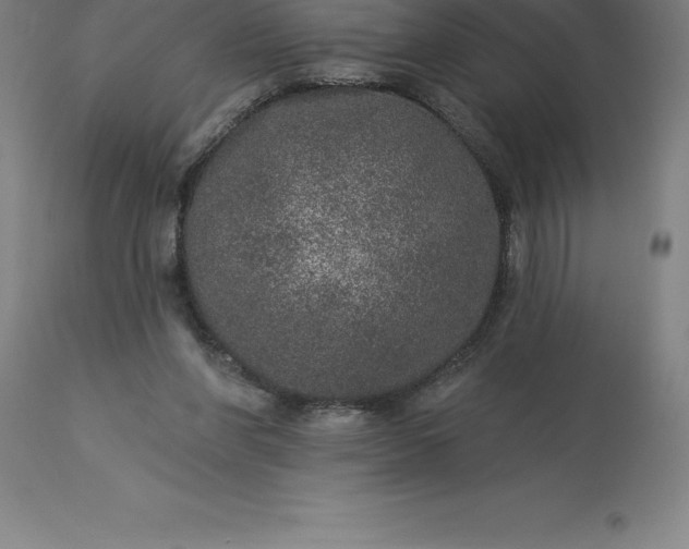 X0000113630206200910021900