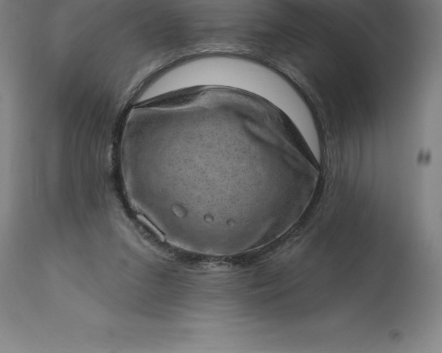 X0000113630207200910021900