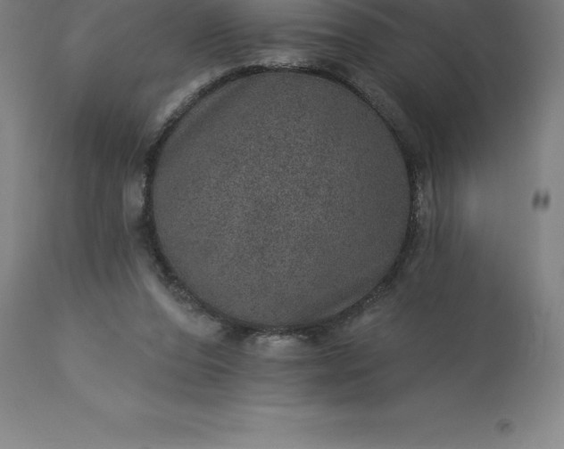 X0000113630208200910021900