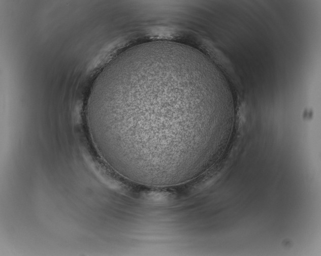 X0000113630209200910021900