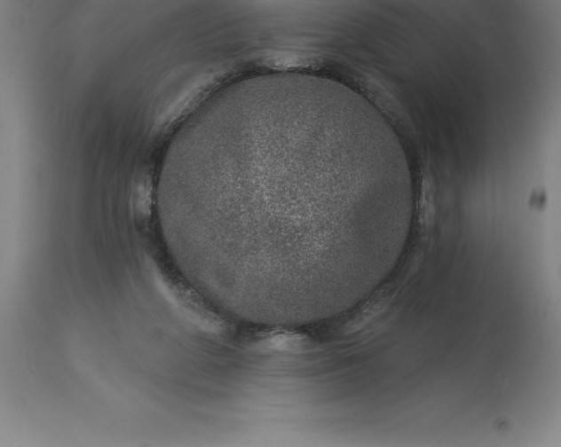 X0000113630210200910021900