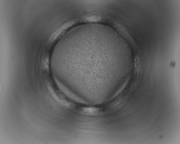 X0000113630212200910021900