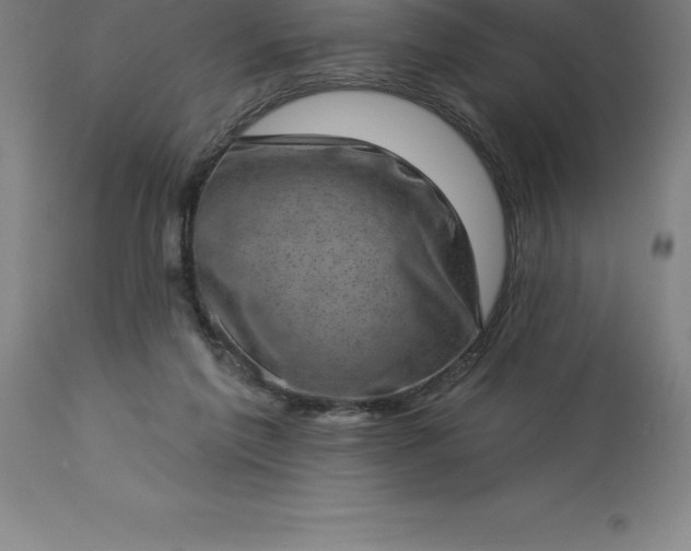 X0000113630213200910021900