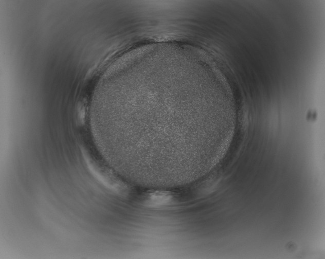 X0000113630214200910021900