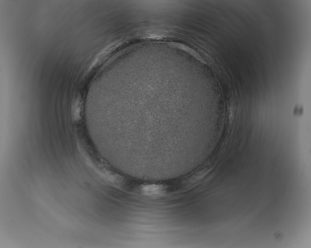 X0000113630216200910021900