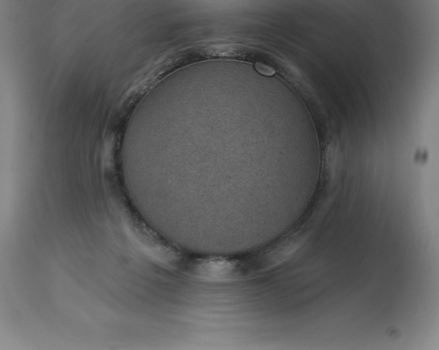 X0000113630217200910021900
