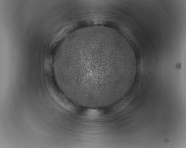 X0000113630218200910021900