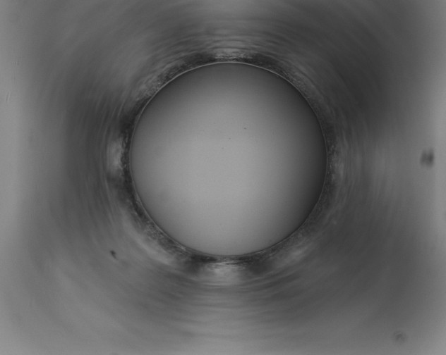 X0000113630219200910021900