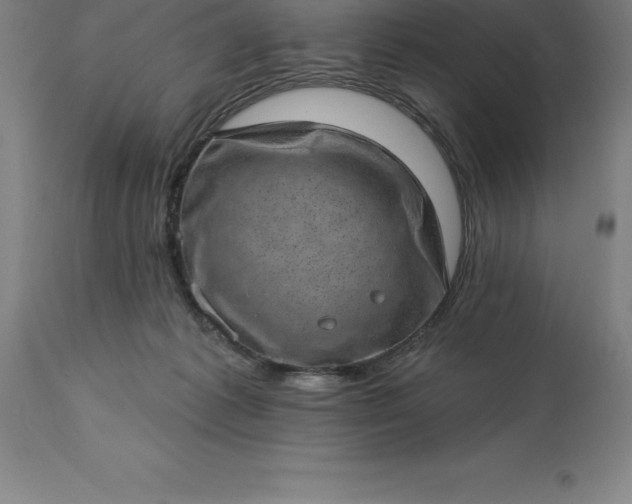 X0000113630221200910021900