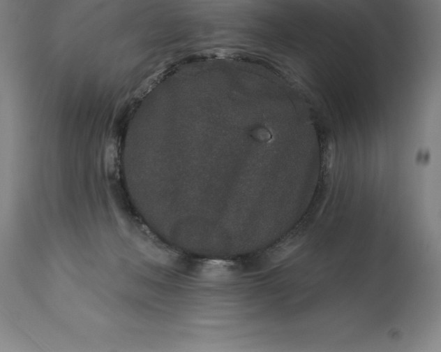 X0000113630222200910021900