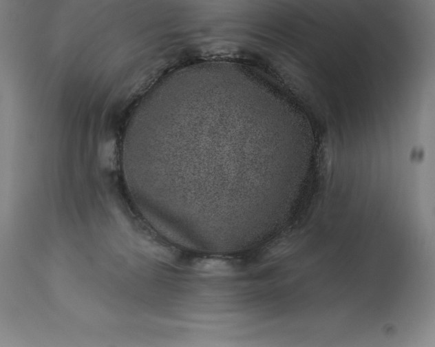 X0000113630224200910021900