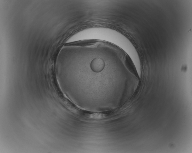 X0000113630225200910021900