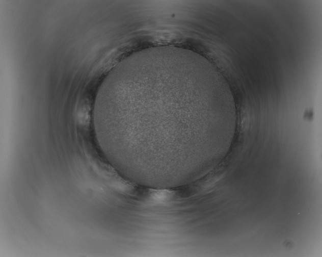 X0000113630226200910021900