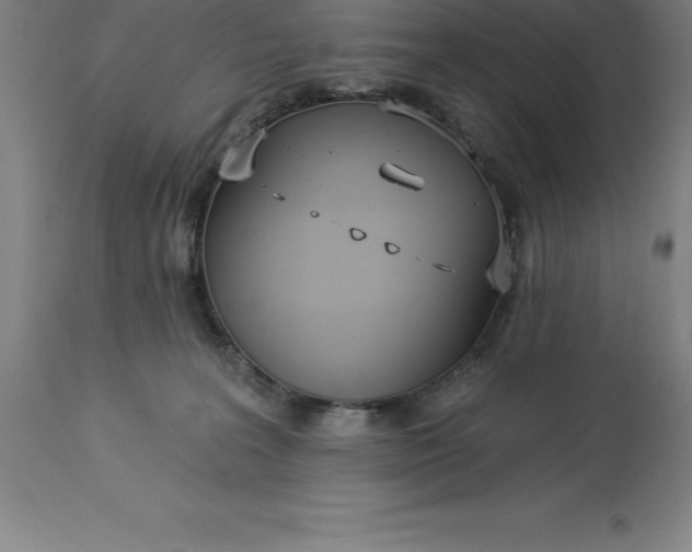 X0000113630227200910021859