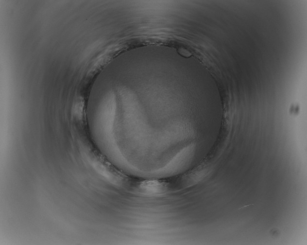 X0000113630231200910021859