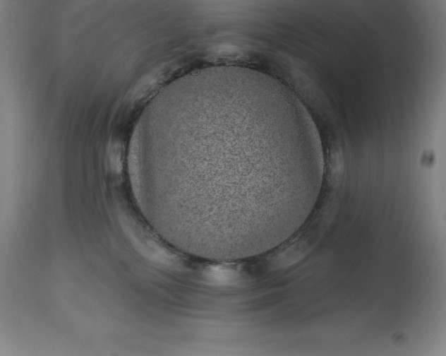 X0000113630232200910021859