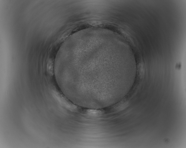 X0000113630234200910021859