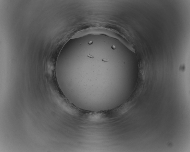 X0000113630235200910021859