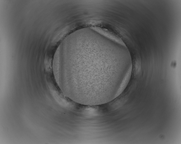 X0000113630236200910021859
