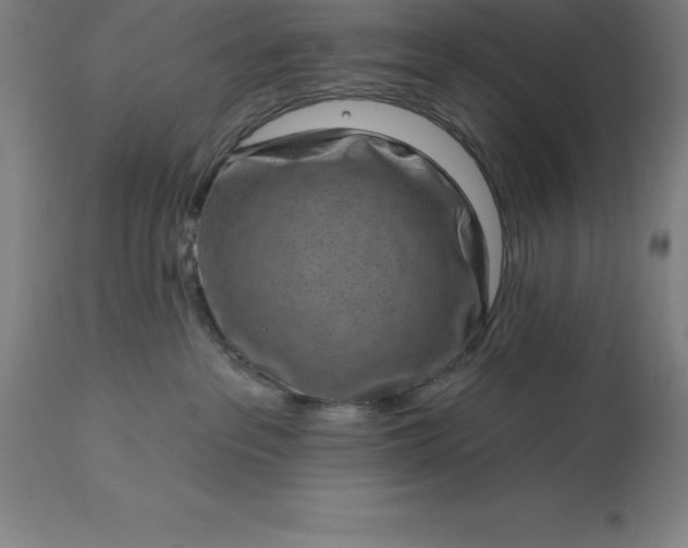X0000113630237200910021859