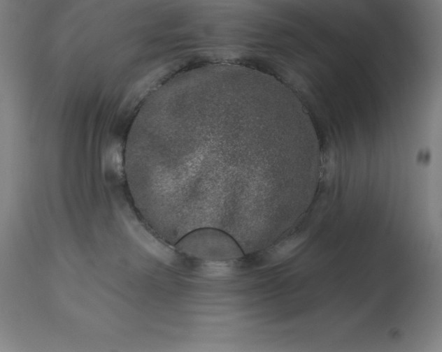 X0000113630238200910021859