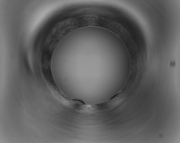 X0000113630239200910021859